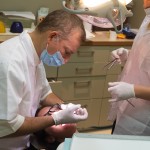 יישור שיניים למבוגרים ד"ר עיני